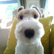 ヒメ日記 2026/01/05 17:46 投稿 なのは 神田はっち