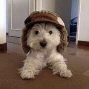 ヒメ日記 2026/01/08 17:10 投稿 なのは 神田はっち