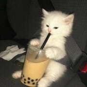 ヒメ日記 2026/01/23 18:03 投稿 なのは 神田はっち