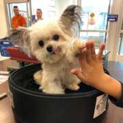 ヒメ日記 2026/01/30 00:31 投稿 なのは 神田はっち