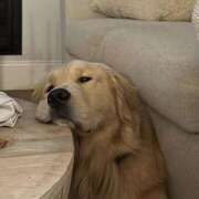 ヒメ日記 2026/02/01 22:27 投稿 なのは 神田はっち