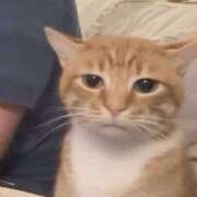 ヒメ日記 2026/02/27 20:13 投稿 なのは 神田はっち