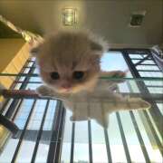 ヒメ日記 2026/03/16 18:46 投稿 なのは 神田はっち