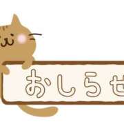 ヒメ日記 2025/10/25 18:01 投稿 あや アクアマリン