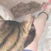 ヒメ日記 2025/11/10 18:13 投稿 つんタ わたしの一番感じるところ