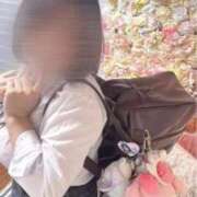 ヒメ日記 2025/10/11 14:33 投稿 ☆りり☆完全業界未経験 ◆プラウディア◆AAA級素人娘在籍店