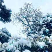 ヒメ日記 2026/02/08 15:12 投稿 ひまり 熟女の風俗最終章 西川口店