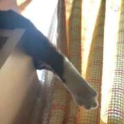 ヒメ日記 2026/02/11 07:02 投稿 ひまり 熟女の風俗最終章 西川口店