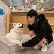 ヒメ日記 2026/02/18 16:45 投稿 るい AFTER V（アフターファイブ）