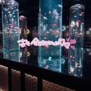 ヒメ日記 2025/08/13 17:43 投稿 みおん 東京デザインリング錦糸町店