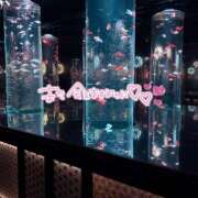 ヒメ日記 2025/08/14 19:55 投稿 みおん 東京デザインリング錦糸町店