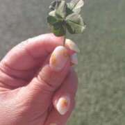 ヒメ日記 2025/07/29 08:45 投稿 いずみ 熟女総本店