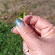 ヒメ日記 2026/01/11 08:22 投稿 いずみ 熟女総本店