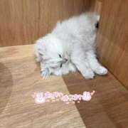 ヒメ日記 2025/07/25 18:23 投稿 みおん S級美女専門　ロイヤルリング