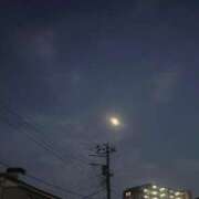 ヒメ日記 2025/08/05 11:41 投稿 みおん S級美女専門　ロイヤルリング