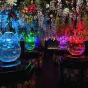 ヒメ日記 2025/10/15 14:53 投稿 みおん S級美女専門　ロイヤルリング