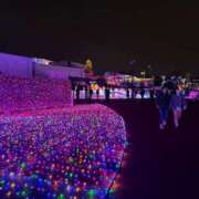 ヒメ日記 2025/11/24 11:27 投稿 みおん S級美女専門　ロイヤルリング