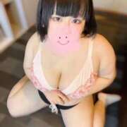 ヒメ日記 2025/06/29 07:59 投稿 水豹 BBW（ビッグビューティフルウーマン）