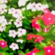 ヒメ日記 2026/09/01 15:20 投稿 あこ 熟女の風俗最終章 西川口店