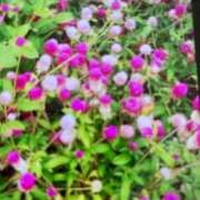 ヒメ日記 2026/09/02 09:30 投稿 あこ 熟女の風俗最終章 西川口店