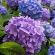 玲奈 おはようございます😃 出会い系人妻ネットワーク 渋谷〜目黒編