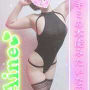 ヒメ日記 2025/08/08 12:02 投稿 愛音あおい 五十路マダムエクスプレス豊橋店（カサブランカグループ）