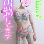 ヒメ日記 2025/08/31 11:44 投稿 愛音あおい 五十路マダムエクスプレス豊橋店（カサブランカグループ）