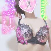 ヒメ日記 2025/09/16 15:30 投稿 愛音あおい 五十路マダムエクスプレス豊橋店（カサブランカグループ）