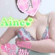 ヒメ日記 2026/02/21 10:16 投稿 愛音あおい 五十路マダムエクスプレス豊橋店（カサブランカグループ）