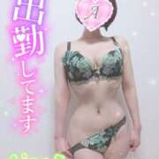 ヒメ日記 2026/03/28 11:54 投稿 愛音あおい 五十路マダムエクスプレス豊橋店（カサブランカグループ）