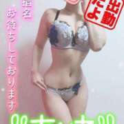 ヒメ日記 2026/03/31 05:44 投稿 愛音あおい 五十路マダムエクスプレス豊橋店（カサブランカグループ）