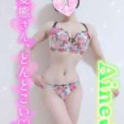 ヒメ日記 2026/08/20 13:16 投稿 愛音あおい 五十路マダムエクスプレス豊橋店（カサブランカグループ）