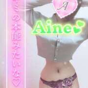 ヒメ日記 2026/09/14 14:16 投稿 愛音あおい 五十路マダムエクスプレス豊橋店（カサブランカグループ）