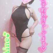 ヒメ日記 2026/09/15 10:30 投稿 愛音あおい 五十路マダムエクスプレス豊橋店（カサブランカグループ）