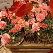 ヒメ日記 2026/05/10 23:35 投稿 友近（ともちか） 熟女の風俗最終章 大宮店