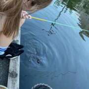 ヒメ日記 2025/08/26 18:46 投稿 みすず 吉祥寺角海老