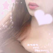 ヒメ日記 2025/06/23 19:57 投稿 えるな 折り紙 ORIGAMI