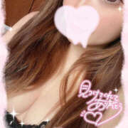 ヒメ日記 2025/08/29 08:27 投稿 えるな 折り紙 ORIGAMI