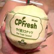 ヒメ日記 2025/08/30 12:09 投稿 えるな 折り紙 ORIGAMI