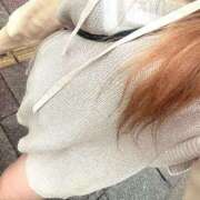 ヒメ日記 2025/10/20 12:48 投稿 えるな 折り紙 ORIGAMI