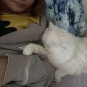 ヒメ日記 2026/03/03 17:42 投稿 えるな 折り紙 ORIGAMI