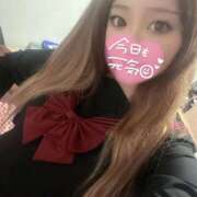 ヒメ日記 2026/03/07 10:33 投稿 えるな 折り紙 ORIGAMI