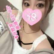 ヒメ日記 2026/03/20 19:09 投稿 えるな 折り紙 ORIGAMI