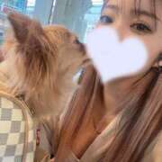 ヒメ日記 2026/04/03 10:51 投稿 えるな 折り紙 ORIGAMI