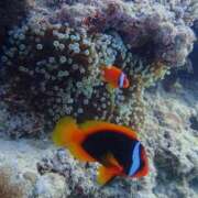 ヒメ日記 2025/07/21 11:07 投稿 あすか THE ESUTE HOUSE 柴田