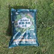 ヒメ日記 2025/09/24 00:19 投稿 いくみ 若妻淫乱倶楽部 久喜店