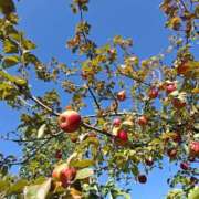 いくみ 本日9時半～出勤します😊 若妻淫乱倶楽部 久喜店