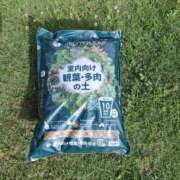 ヒメ日記 2025/09/24 00:10 投稿 いくみ 若妻淫乱倶楽部