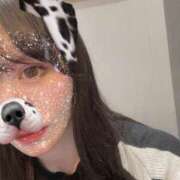 ヒメ日記 2025/06/14 08:45 投稿 なの 妖精（ようせい）