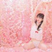 ヒメ日記 2025/06/17 14:16 投稿 なの 妖精（ようせい）